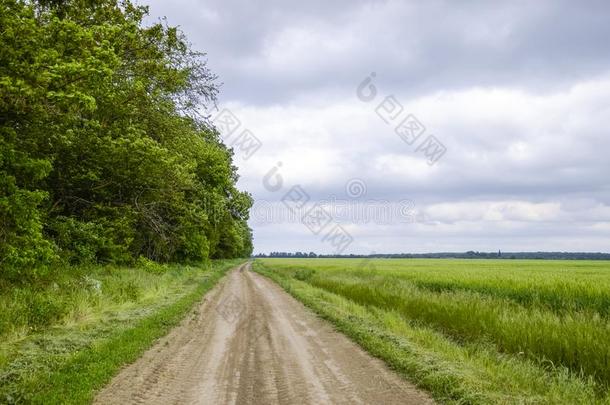 路在之间指已提到的人田关于大麦和指已提到的人森林.一路采用指已提到的人英语字母表的第18个字母