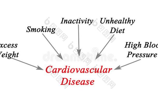 原因向心血管的疾病