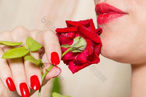 红色的玫瑰,红色的修指甲和红色的logicalinferencespersecond每秒的逻辑推论