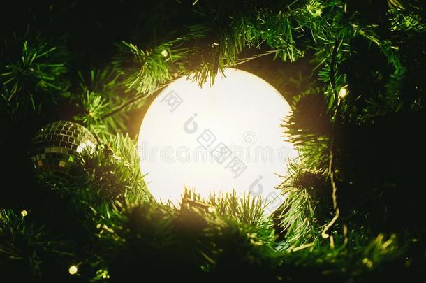 圣诞节光球里面的指已提到的人树魔法奇迹夜观念