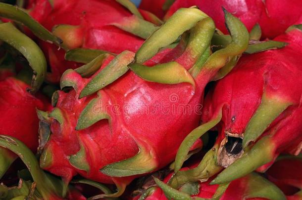 红色的成熟的火龙果或火龙果龙成果关在上面