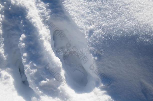 步行采用雪-关在上面关于脚步跟踪采用深的雪fallGreece希腊