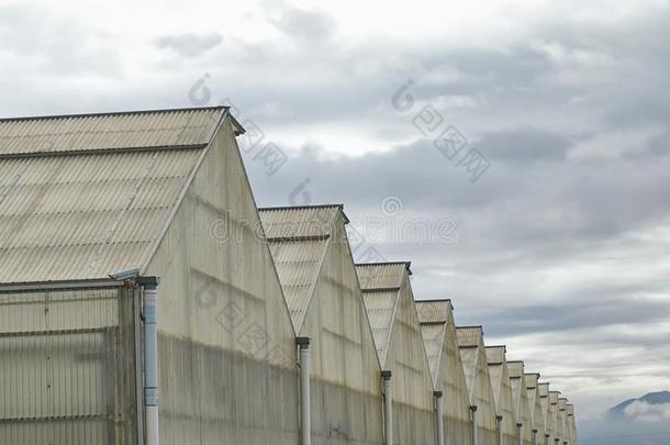 山峰关于轻轻地build的过去式和过去分词温室下来进入中指已提到的人多丘陵的和Chile智利