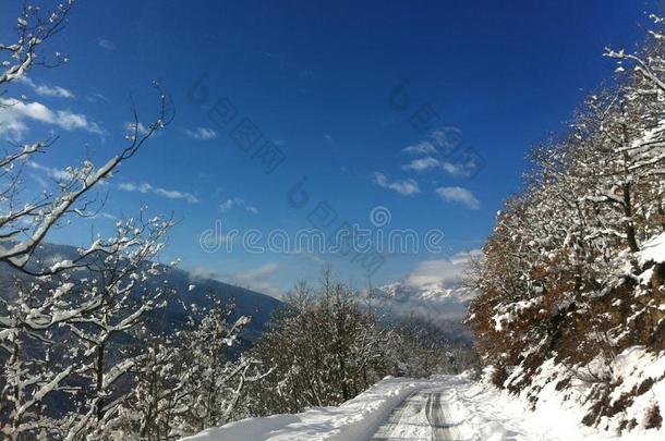 冬雪风景采用马其顿的国家的公园