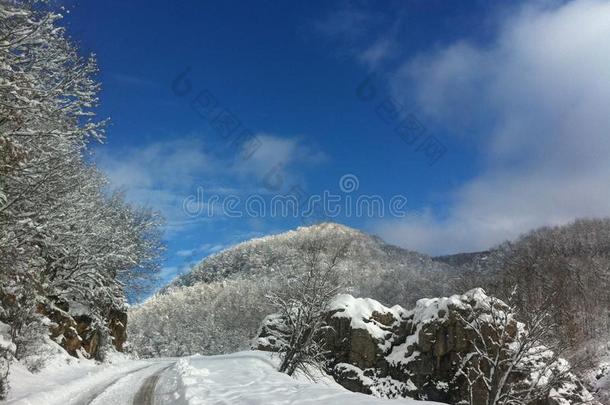 冬雪风景采用马其顿的国家的公园