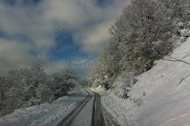 冬雪全景的风景采用马其顿的国家的公园
