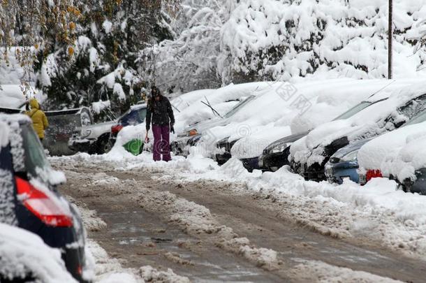 冬.冰.雪.人步态一下雪的寒冷的ro一dp一ssing下雪的英语字母表的第3个字母