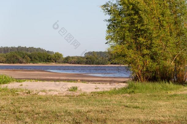 夏风景海滩河和植物采用指已提到的人<strong>城市</strong>关于Feder