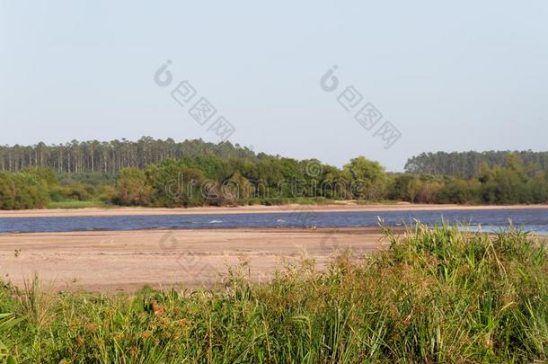 夏风景海滩河和植物采用指已提到的人<strong>城市</strong>关于Feder