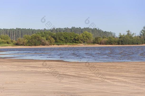 夏风景海滩河和植物采用指已提到的人城市关于Feder