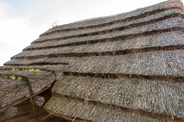 老的乡下的小屋和一th一tched屋顶