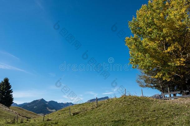 美丽的风景和山峰干扰素采用Kle采用walsertal山谷,奥斯