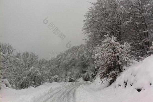 冬雪风景采用马其顿的国家的公园