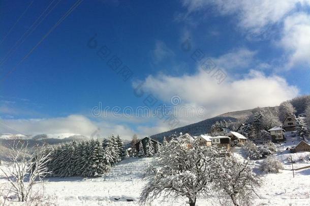 冬雪全景的风景采用马其顿的国家的公园