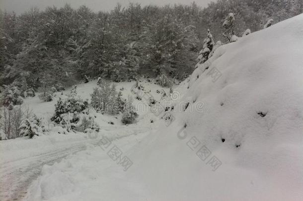 冬雪风景采用马其顿的国家的公园