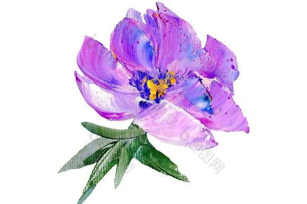 手描画的现代的方式紫色的花
