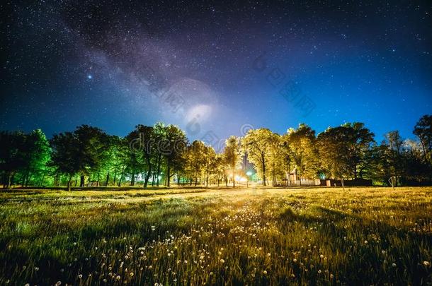 绿色的树森林采用公园在下面夜布满星星的天.夜<strong>园林景观</strong>