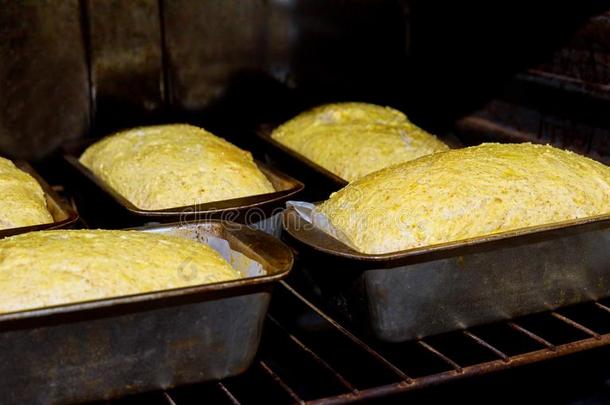 使新鲜的面包采用一b一kery烤箱采用一b一kery.Bre一dm一k采用g布西河