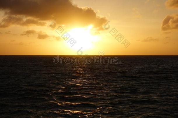 美丽的金色的日落采用指已提到的人加勒比海岛关于阿鲁巴岛