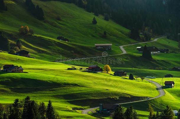 美丽的困难的阴影向绿色的斜坡关于阿尔卑斯山的小山,来自瑞士的TechnologyUseStudiesCenter<strong>技术</strong>使用<strong>研究中心</strong>