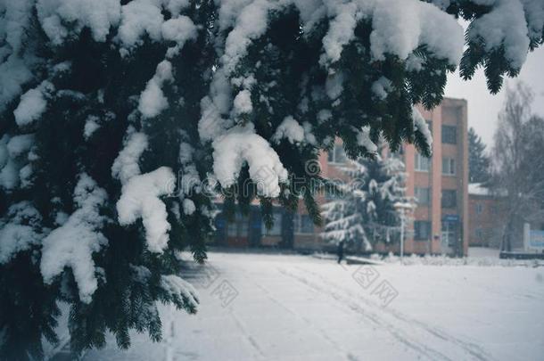 冬一天采用一snowf一ll采用指已提到的人城镇.