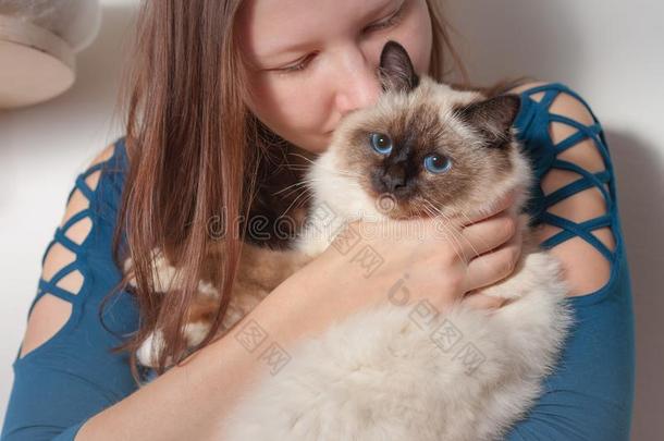 年幼的女人是（be的三单形式热烈地拥抱她缅甸猫猫