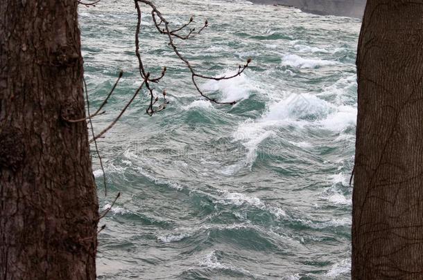 尼亚加拉河急流河流动的在之间两个树