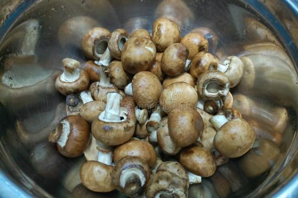 大大地银碗和袖珍型的东西栗子蘑菇