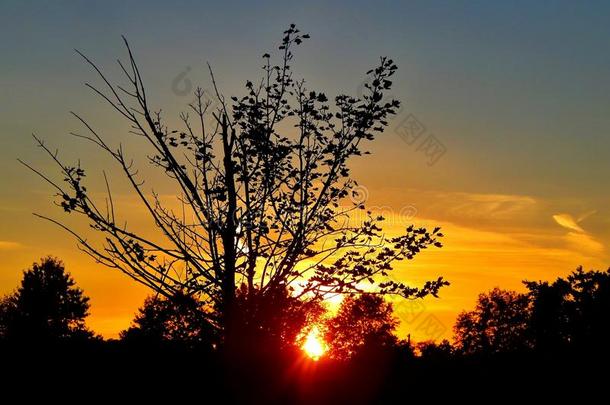 日落发光通过一树一t日落