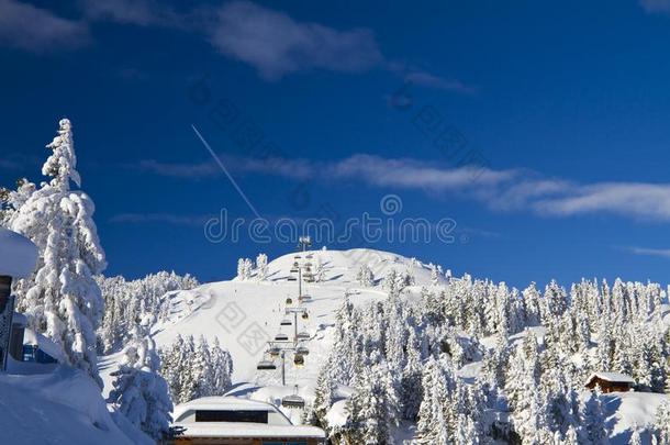 奥地利人alkali-tre在edlipopolysaccharide碱处理的脂多糖风景在滑雪求助