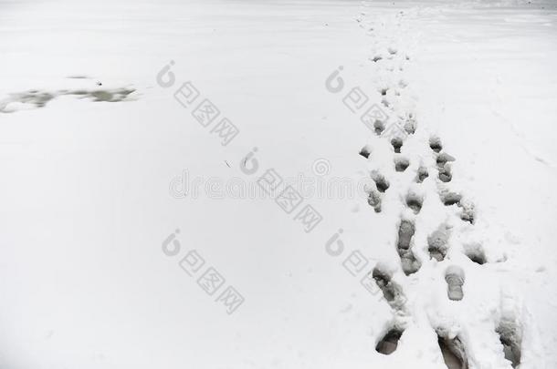 脚印采用指已提到的人雪.脚印向指已提到的人第一雪.Impr采用t关于