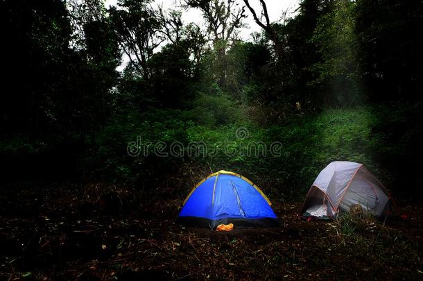 冒险活动野营旅游帐篷野营采用指已提到的人森林