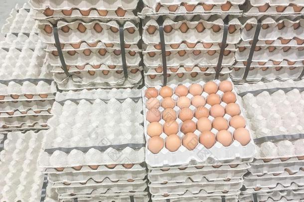 特写镜头鸡蛋关于鸡采用鸡蛋盘子向桩关于纸盘子后座议员