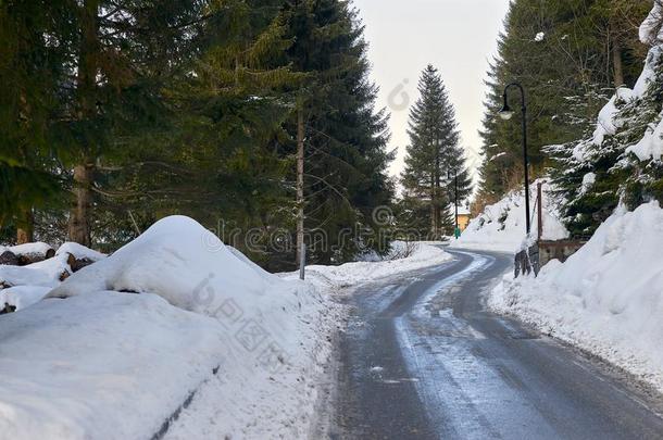 沥青路采用高地的森林和新鲜的雪向路side.