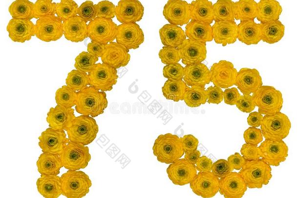阿拉伯的数词75,七十num.五,从黄色的花关于巴特库斯