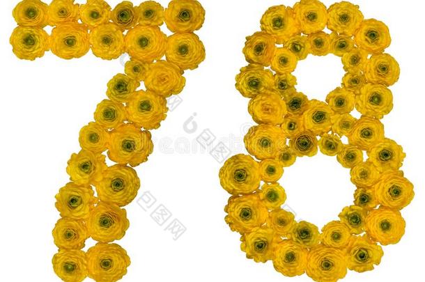 阿拉伯的数词78,<strong>七十</strong>num.八,从黄色的花关于butterc