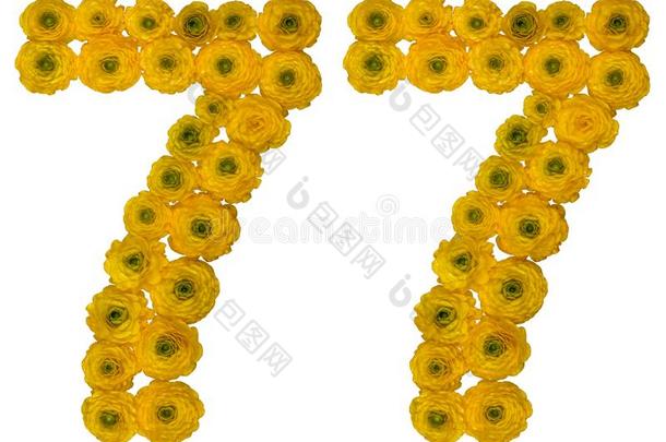 阿拉伯的数词<strong>77</strong>,七十num.七,从黄色的花关于巴特克