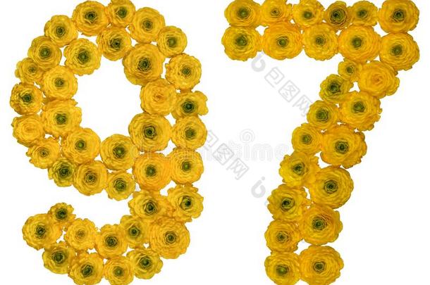 阿拉伯的数词97,num.九十num.七,从黄色的花关于巴特库斯