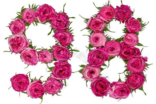 阿拉伯的数词<strong>98</strong>,num.九十num.八,从红色的花关于玫瑰,伊索拉
