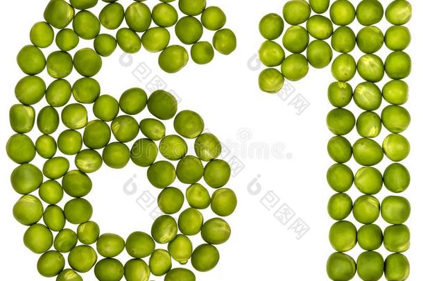 阿拉伯的数词<strong>61</strong>,num.六十num.一,从绿色的豌豆,隔离的向白色的