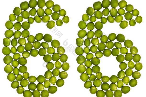 阿拉伯的数词66,num.六十六,从绿色的豌豆,隔离的向白色的