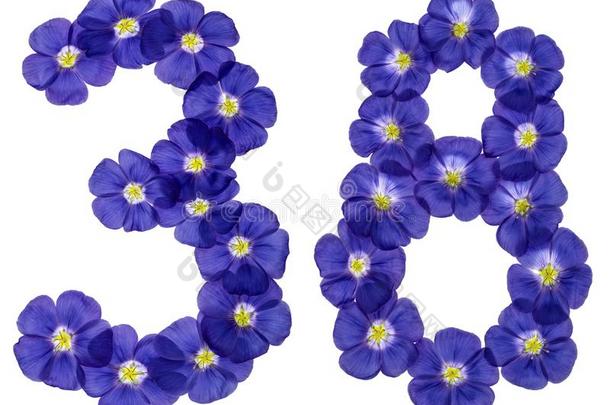 阿拉伯的数词38,三十num.八,从蓝色花关于亚麻,弧点元