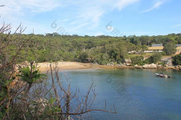 自然海滩风景,悉尼澳大利亚