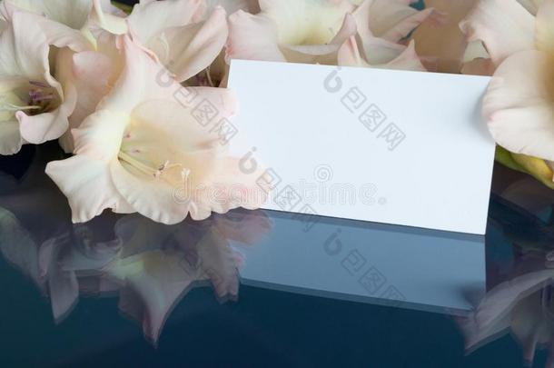 花背景采用彩色粉笔音.剑兰花和白色的英语字母表的第3个字母