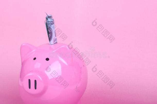 小猪银行向软的粉红色的背景和ultimatestrengtdesign极限强度设计银行notes