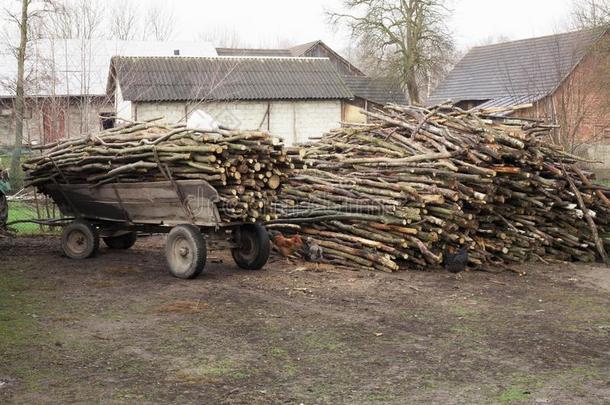 拖车关于剁碎的火-木材老的式的农场主运货马车在波兰