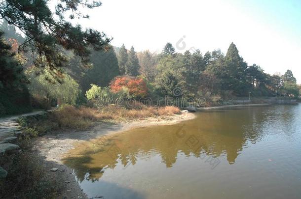 如琴湖-庐山植物学的花园