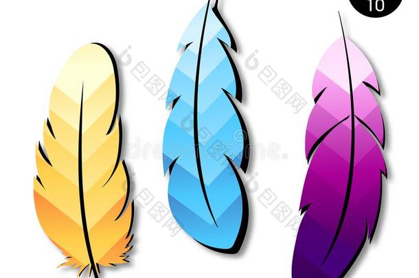富有色彩的几何学的羽毛`放置.矢量羽毛