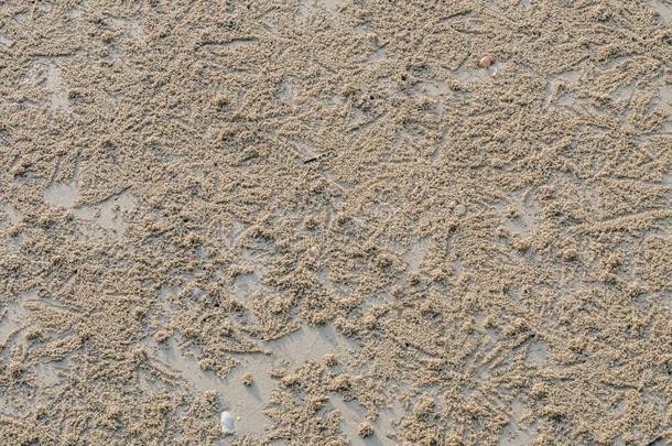 小的沙杂乱,沙蟹哪一个地<strong>洞洞</strong>采用指已提到的人沙=BoeingElectronicAnalogComputer