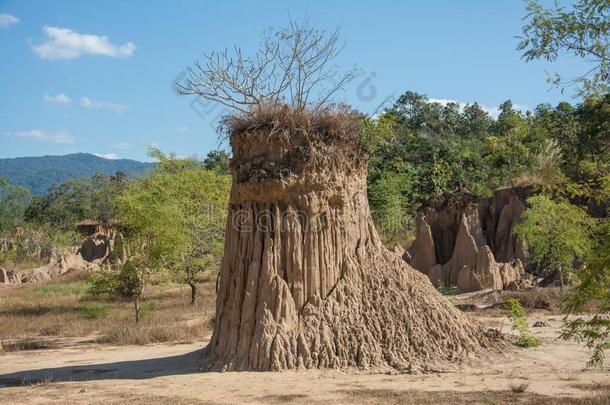 SaoPaulo圣保罗喧闹<strong>声</strong>Namibia纳米比亚nototherwiseidentified不另外识别采用Namibia纳米比